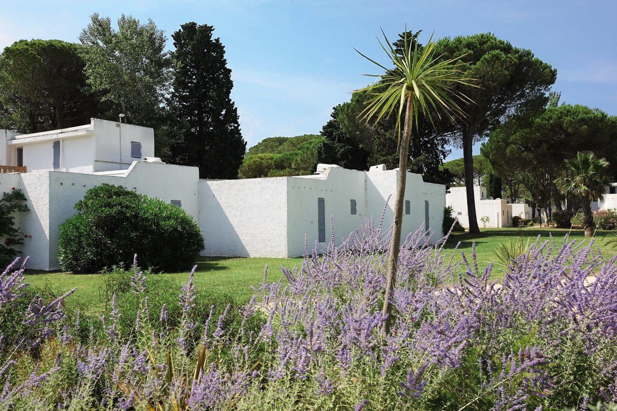 Hotel Belambra Clubs Motte - Petite Camargue Presqu'ile Du Ponant